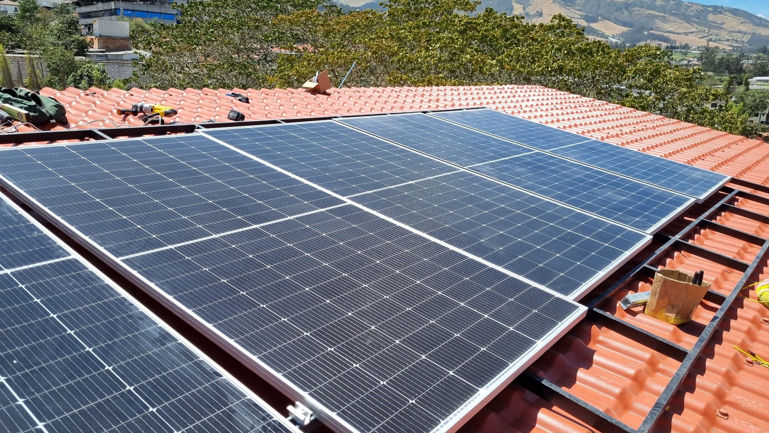 WhatsApp Image 2024-12-16 at 4.30.50 PM